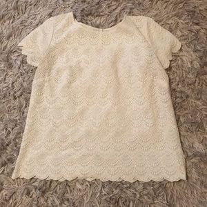 Loft lace top